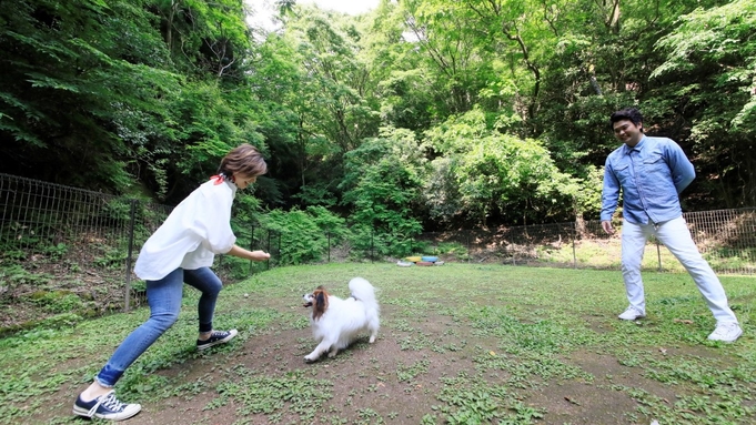 《わんダフルステイ◇しゃぶしゃぶ》愛犬と泊まれる専用ルームで【朝・夕お部屋食】ブランド牛但馬牛を堪能